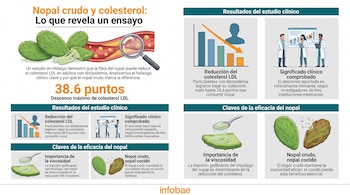 Infografía sobre nopal y colesterol. Contiene título, cactus de nopal, arteria, lupa, gráficos, figuras de científicos, nopal crudo y cocido.
