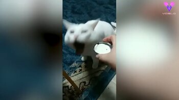 30/10/2020 Las arcadas de este