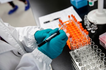 Los plazos dados por Moderna