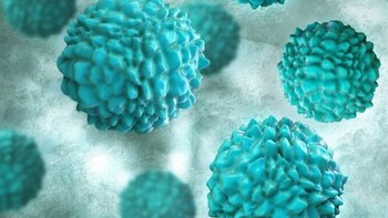 Norovirus se expande en Estados