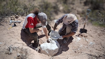 Facundo Riguetti y Mattia Baiano en trabajos de campo.