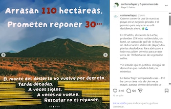 Organizaciones ambientales denuncian que no es ‘monte seco’: es matorral sarcocaule y selva baja caducifolia, hogar de biznagas, palo fierro e iguana de cola espinosa, varias de ellas protegidas por la ley.