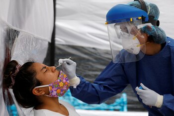 Los nanocuerpos se adhieren a