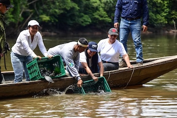 El mecanismo de Obras por