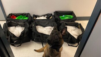 Operativos simultáneos en cuatro estados