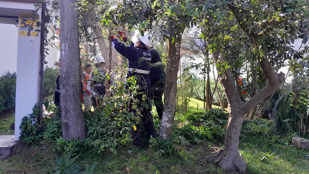 La intervención forma parte del plan iniciado tras detectarse 213 ocupaciones irregulares en 11 parques de la urbanización.