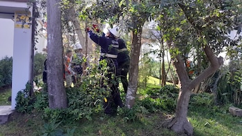 La intervención forma parte del