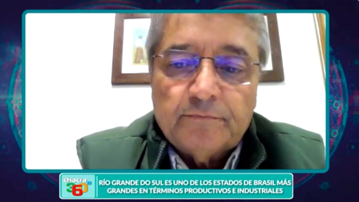 Sequía y pérdidas millonarias: la soja en crisis en Río Grande do Sul