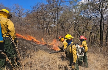 Conred atiende más de 600 incendios en Guatemala