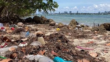 Playa con rocas y vegetación costera cubierta por botellas plásticas, latas, vasos y desechos. El mar y edificios de una ciudad se ven al fondo