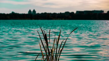 La investigación fue publicada en