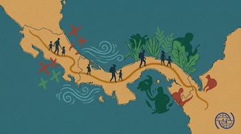 Mapa de Centroamérica y el Tapón del Darién, ruta sinuosa. Siluetas de adultos y niños, cruces rojas, olas, vegetación, figuras. Logotipo OIM.