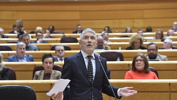 Marlaska no conocía la condena