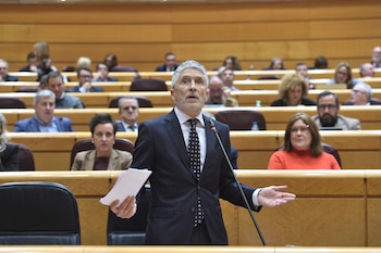 El ministro del Interior, Fernando