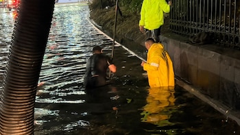 CDMX no está preparada para las lluvias: estas son las alcaldías más afectadas