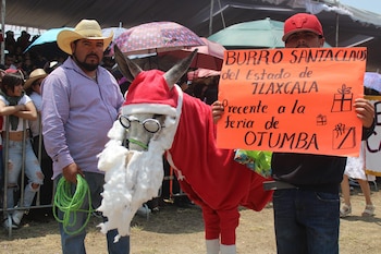El "burro 'Santa Claus'" acudió