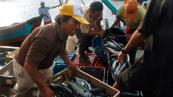 Perú cerró 2023 con una