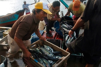 Durante 2023, la producción del sector pesca se redujo en un 19,75 %, según el Instituto Nacional de Estadística e Informática de Perú (INEI). En la imagen un registro de archivo de un grupo de pescadores artesanales del Puerto de Ilo, en el departamento de Moquegua (sur de Perú=. EFE/Sergio Urday