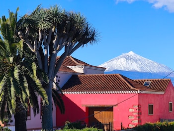 Vista del Teide con nieve desde Tacoronte, a 20 de marzo de 2026. (EFE/Andrés Campos)
