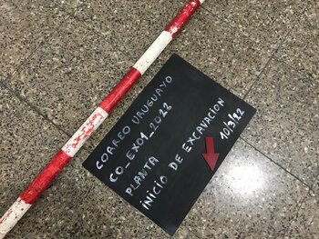 El sanitario guardó silencio por