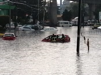 cientos de personas se vieron