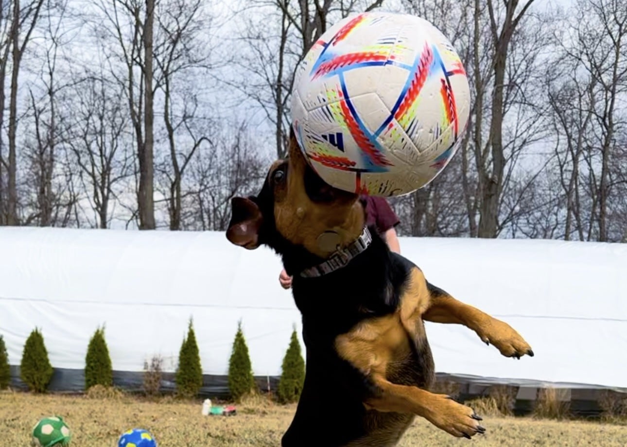 Ronaldo, en plena atajada (Sam Katzman)