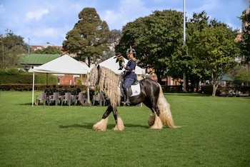 Las pruebas de salto de la Copa Ecuestre ANASE exigen gran preparación técnica y fortaleza emocional a jinetes experimentados de clubes militares y civiles - crédito Cortesía