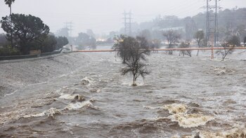 Más de 85.000 usuarios sin
