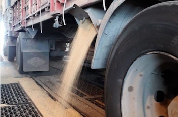 La soja llega al cluster