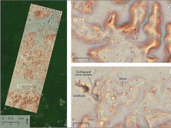 El Bloque 1 de reconocimiento, con huellas de edificios en negro y huellas de plataformas en violeta muestran el tipo de distribución urbana de los mayas (figura de los autores)