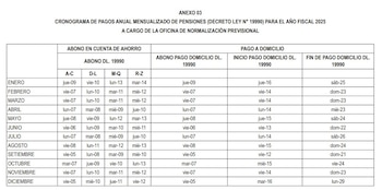 Cronograma de pagos anual mensualizado