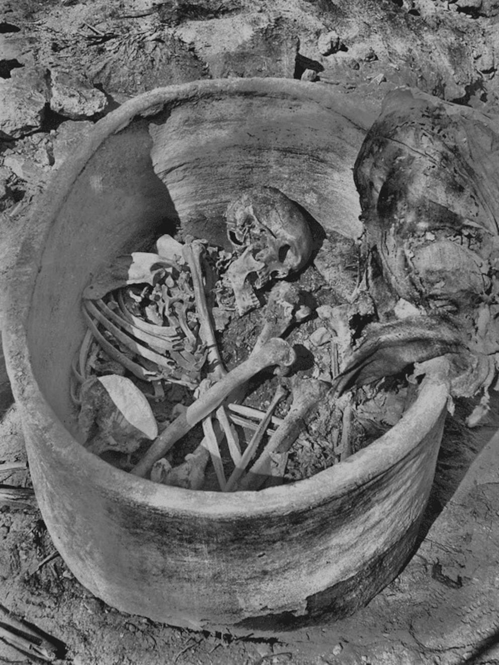 El esqueleto ha sido fechado mediante radiocarbono alrededor de los años 2855 y 2570 antes de Cristo en Nuwayrat, Egipto. (Caroline Wilkinson/ Universidad John Moores Liverpool vía AP)