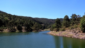 Gobierno publica nuevas reglas para combatir la deforestación de bosques y selvas