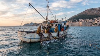 Un barco pesquero "San Nicola" con cuatro hombres tira redes llenas de peces en el mar, con una ciudad costera y montañas al fondo.