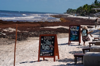 Carteles publicitarios se exhiben cerca de una playa cubierta de sargazo en Tulum, México, el jueves 30 de julio de 2026. (AP Foto/Fernando Llano)