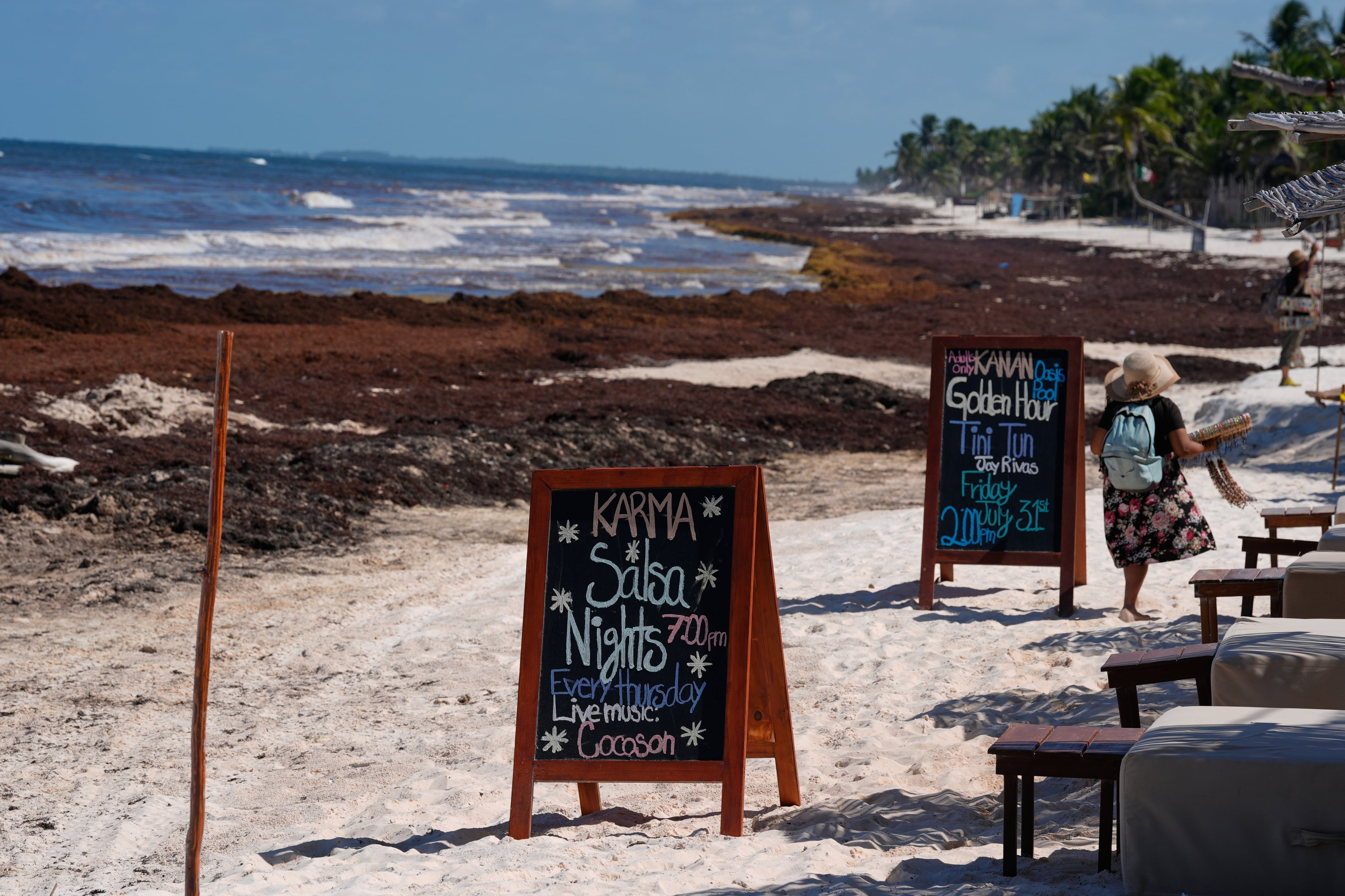 Carteles publicitarios se exhiben cerca de una playa cubierta de sargazo en Tulum, México, el jueves 30 de julio de 2026. (AP Foto/Fernando Llano)