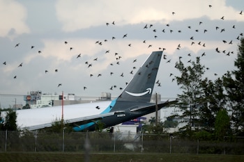 MIAMI, FLORIDA – 6 DE SEPTIEMBRE: Se ve un avión de carga de Amazon después de estrellarse en el Aeropuerto Internacional de Miami el 6 de septiembre de 2026 en Miami, Florida Joe Raedle/Getty Images/AFP (Foto de JOE RAEDLE / GETTY IMAGES NORTEAMÉRICA / Getty Images vía AFP)
