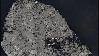 “Este meteorito es realmente único”: la NASA analiza una roca de Marte que conserva señales de agua de hace 4.100 millones de años