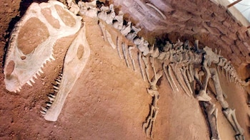 Argentina es una tierra prolífera