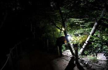 Las fuerzas de seguridad lo