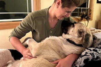 Una persona con cabello corto abraza y acaricia a un perro de pelaje claro y orejas oscuras, que está recostado. Se ve una ventana al fondo