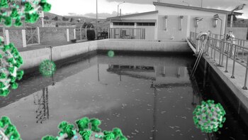 UNAM desarrolló método para detectar