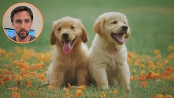 Juan Manuel, adiestrador canino: “Es