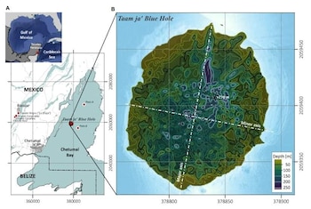 Científicos de Conacyt, Ecosur y