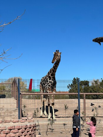 Colectivos y ciudadanos presionaron al