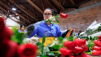 La producción industrial de Colombia