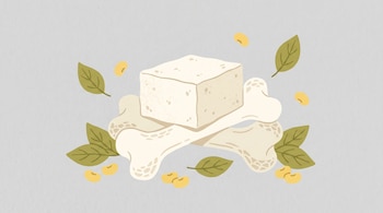 Ilustración plana de un bloque de tofu blanco sobre dos huesos estilizados, rodeado de hojas verdes y granos de soja amarillos, sobre un fondo gris perla.
