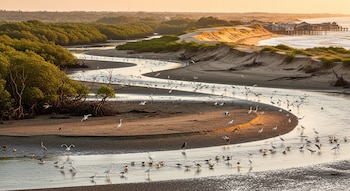 Río sinuoso entre manglares verdes y dunas de arena en la costa. Cientos de aves acuáticas en la orilla y el agua. Casas sobre pilotes se observan a lo lejos.
