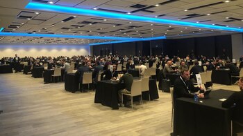 Las “citas a ciegas” llegaron