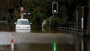 Millones de personas en cinco